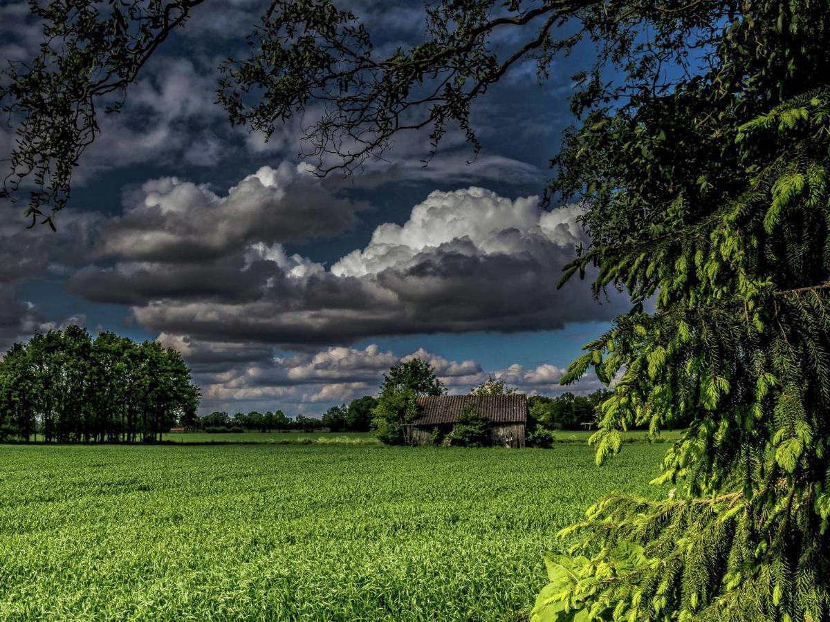 Staying In A Thatched Barn With Bedroom Achterhoek Geesteren  Exterior foto